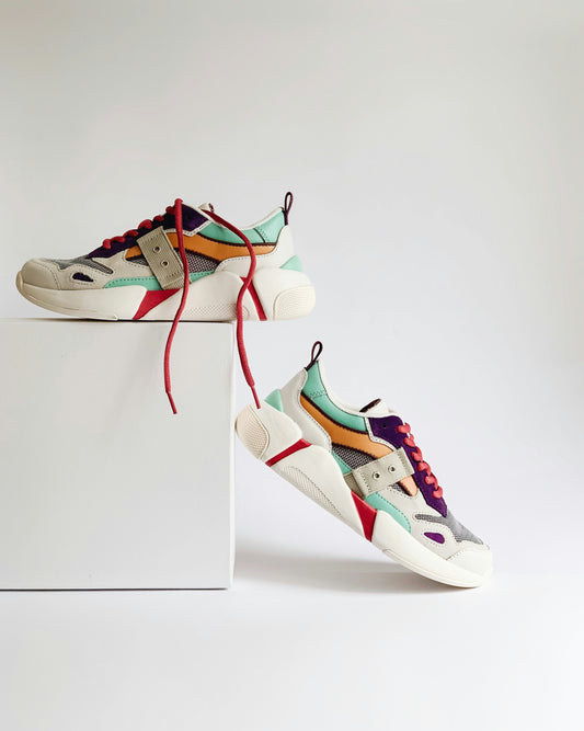 The Preowned Sneaker Market: Reducing Waste and Boosting the Economy